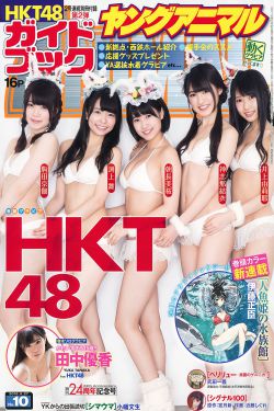 少年派2电视剧完整版